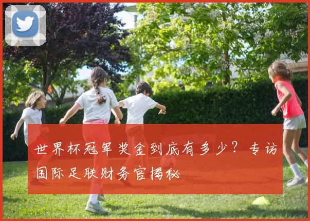 世界杯冠军奖金到底有多少？专访国际足联财务官揭秘
