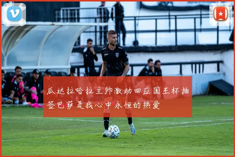 奥运会排球规则解析：发球轮转与得分制度成比赛核心看点