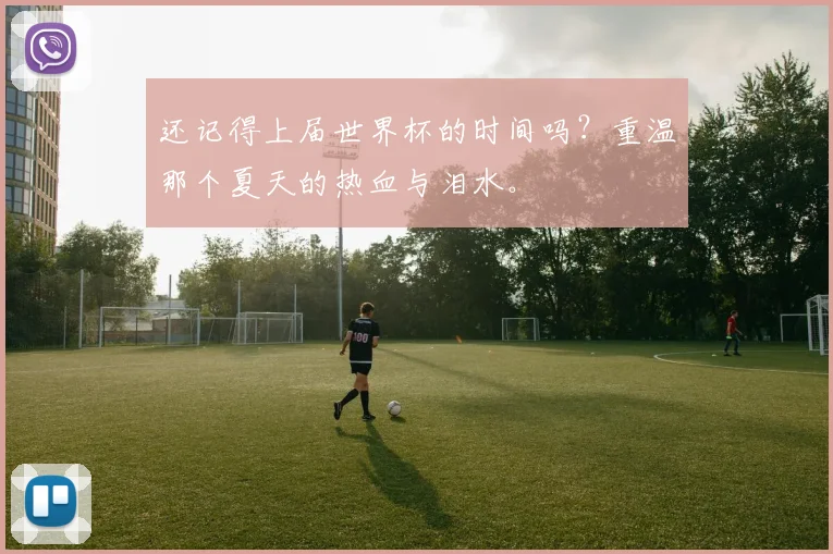 还记得上届世界杯的时间吗?重温那个夏天的热血与泪水。