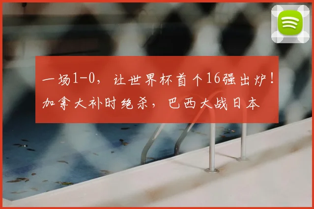 一场1-0,让世界杯首个16强出炉!加拿大补时绝杀,巴西大战日本