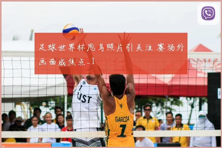 足球世界杯甩鸟照片引关注 赛场外画面成焦点_1