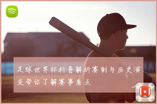 足球世界杯科普解析赛制与历史演变带你了解赛事看点