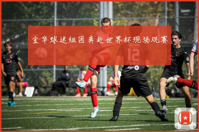 金华球迷组团奔赴世界杯现场观赛