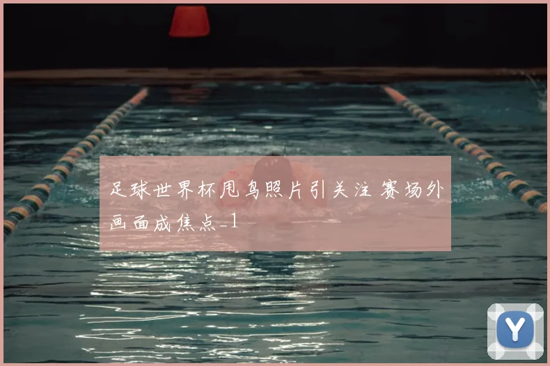 足球世界杯甩鸟照片引关注 赛场外画面成焦点_1