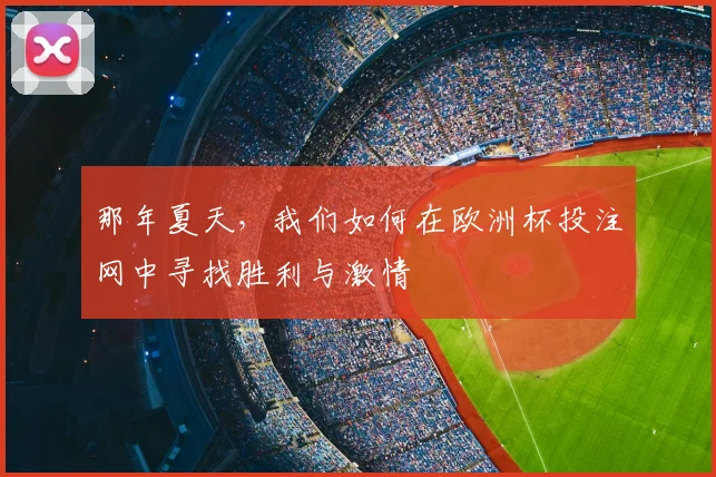 那年夏天,我们如何在欧洲杯投注网中寻找胜利与激情