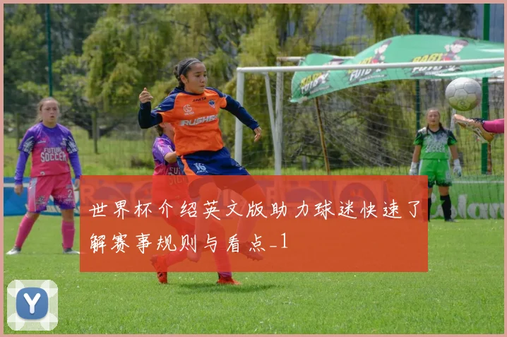 世界杯介绍英文版助力球迷快速了解赛事规则与看点_1