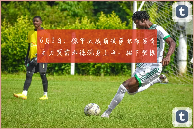 6月2日：德甲决战前夜萨尔布吕肯主力莫雷加德现身上海，抛下樊振东独自应战_职业_欧冠_体育