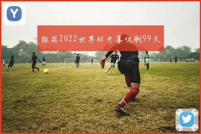 距离2022世界杯开幕仅剩99天