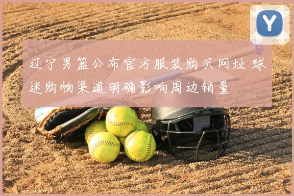 辽宁男篮公布官方服装购买网址 球迷购物渠道明确影响周边销量