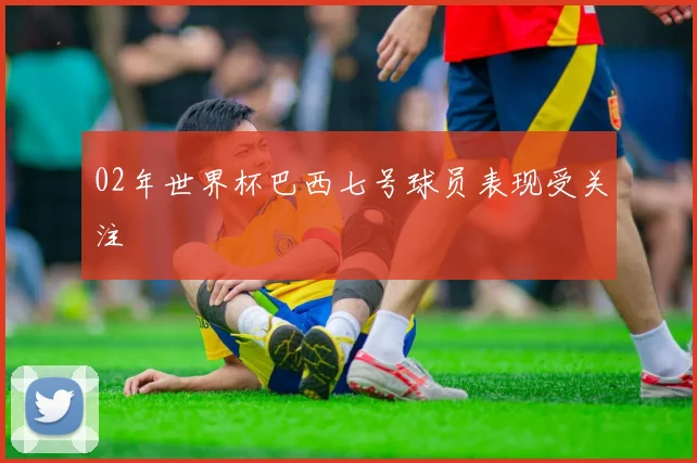 02年世界杯巴西七号球员表现受关注