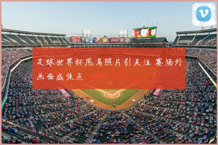 足球世界杯甩鸟照片引关注 赛场外画面成焦点