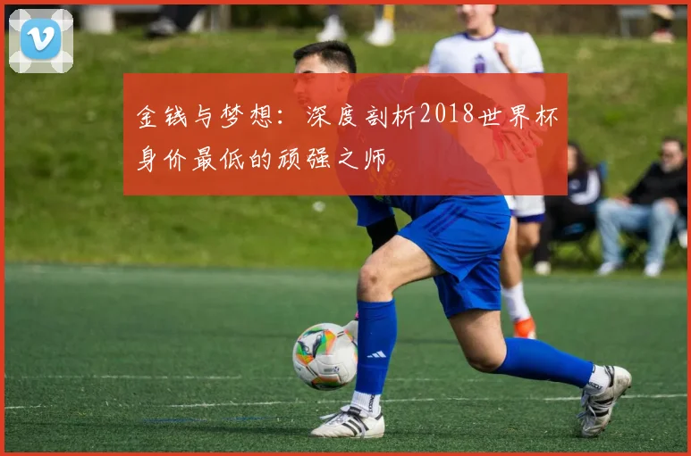 金钱与梦想：深度剖析2018世界杯身价最低的顽强之师