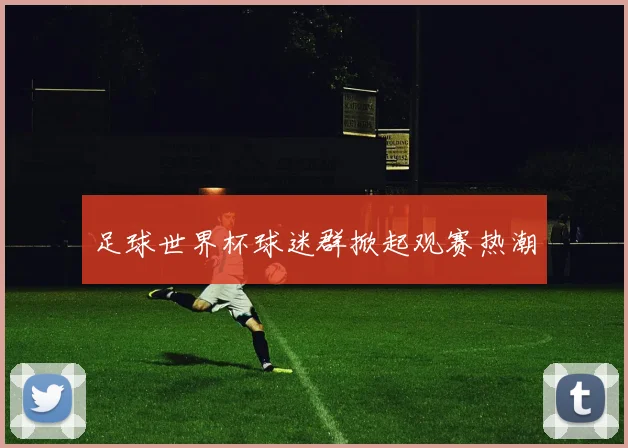 足球世界杯球迷群掀起观赛热潮