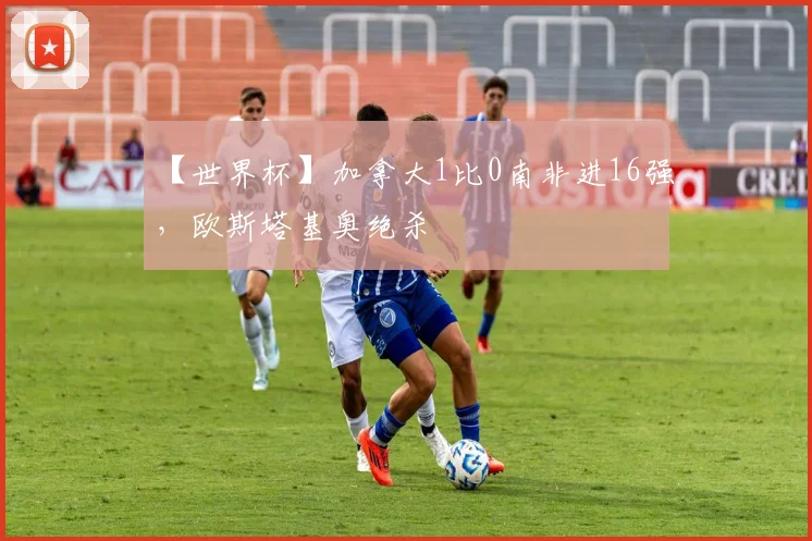 【世界杯】加拿大1比0南非进16强,欧斯塔基奥绝杀