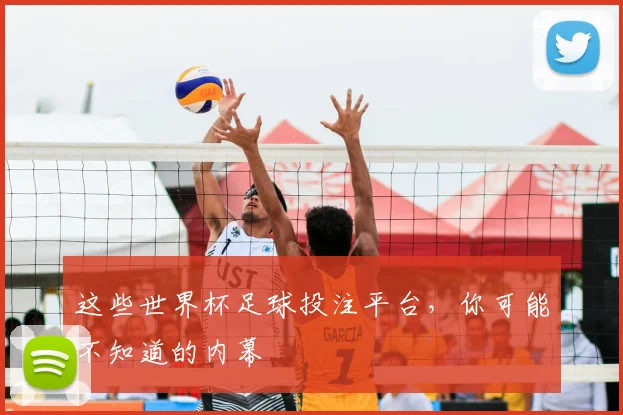 这些世界杯足球投注平台,你可能不知道的内幕