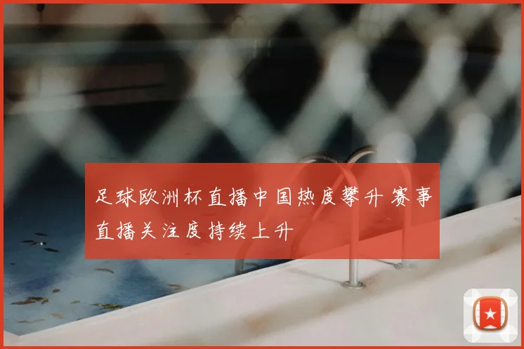 足球欧洲杯直播中国热度攀升 赛事直播关注度持续上升