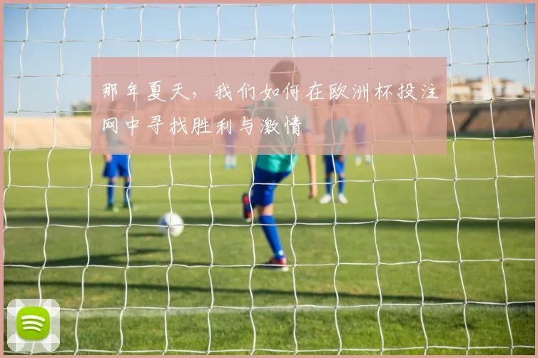 那年夏天,我们如何在欧洲杯投注网中寻找胜利与激情