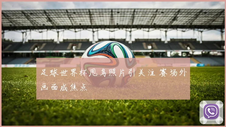 足球世界杯甩鸟照片引关注 赛场外画面成焦点