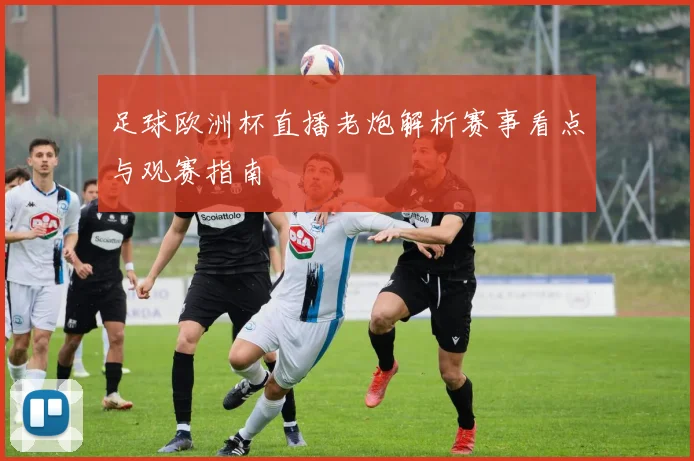 足球欧洲杯直播老炮解析赛事看点与观赛指南