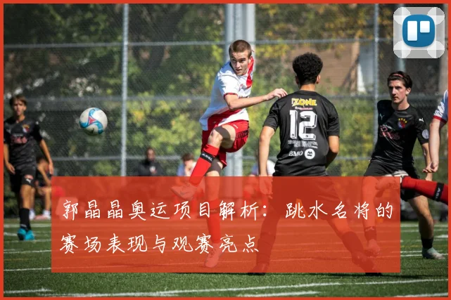 郭晶晶奥运项目解析:跳水名将的赛场表现与观赛亮点