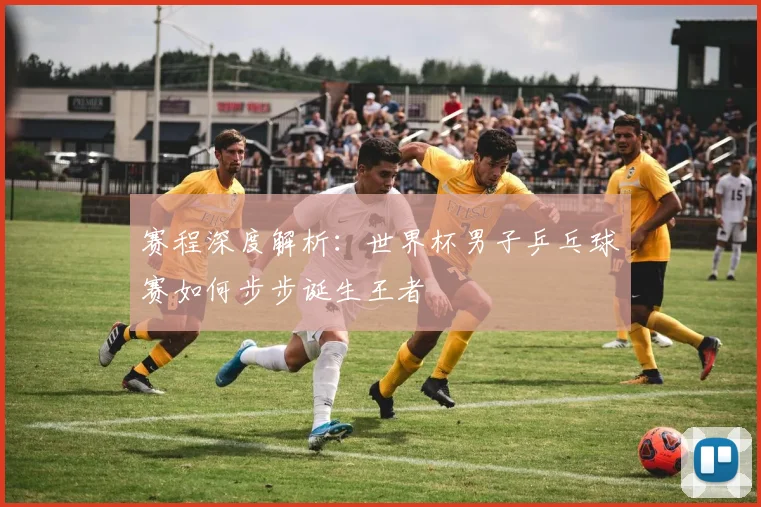 赛程深度解析:世界杯男子乒乓球赛如何步步诞生王者