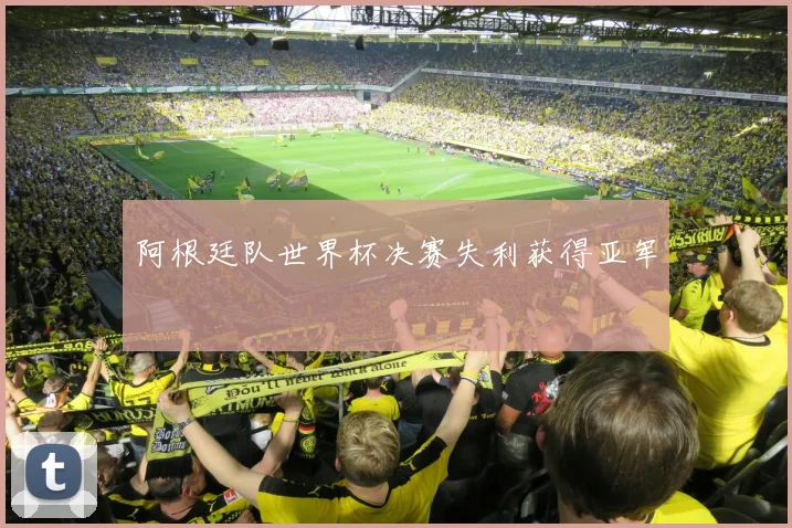 阿根廷队世界杯决赛失利获得亚军