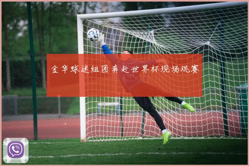 金华球迷组团奔赴世界杯现场观赛