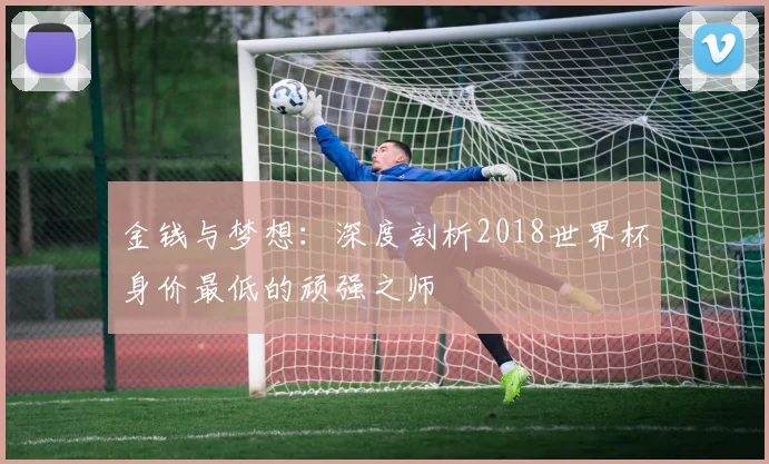 金钱与梦想:深度剖析2018世界杯身价最低的顽强之师
