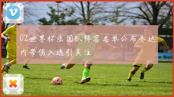02世界杯法国队阵容名单公布齐达内带伤入选引关注