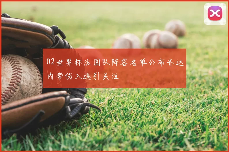 02世界杯法国队阵容名单公布齐达内带伤入选引关注