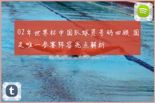 02年世界杯中国队球员号码回顾 国足唯一参赛阵容亮点解析
