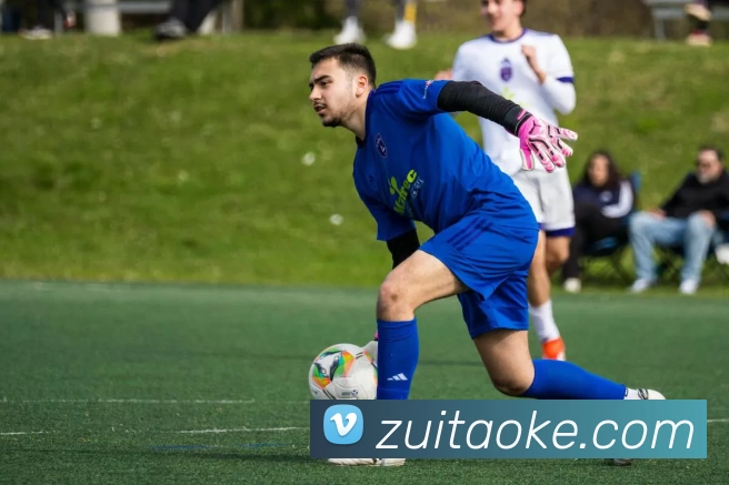 世界杯直播观看入口平台生态图