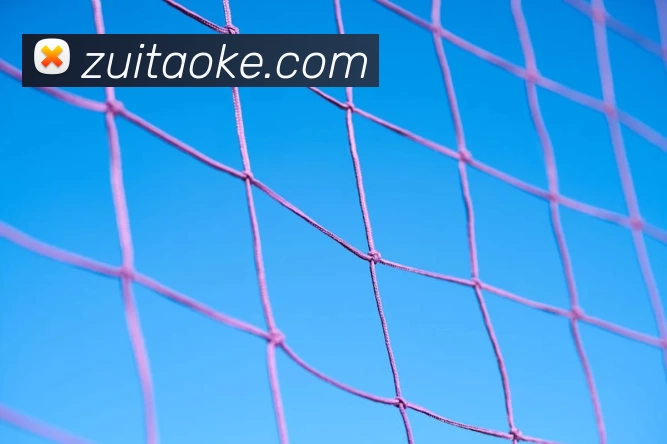 世界杯直播观看入口全站App 世界杯直播观看入口全站App